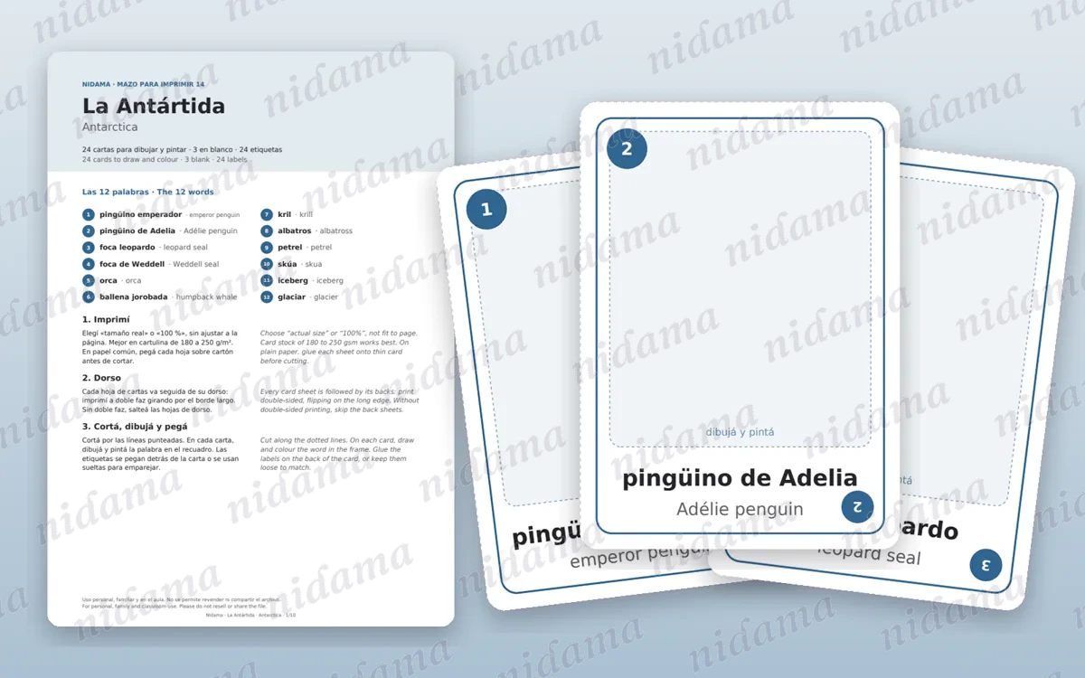 Guide and first card sheet of the Antarctica deck