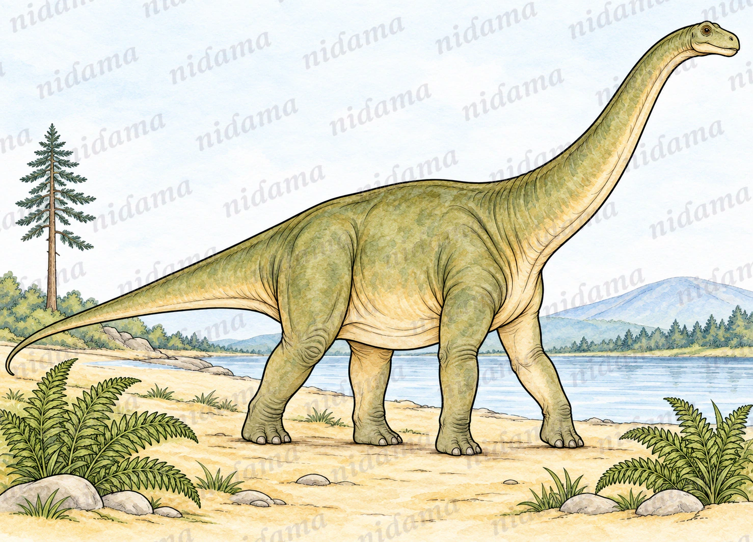 A long-necked dinosaur beside a river and ferns